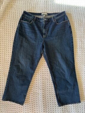 Abercrombie & Fitch Curve Love Vintage Straight High Rise Jeans Women’s 16 Short